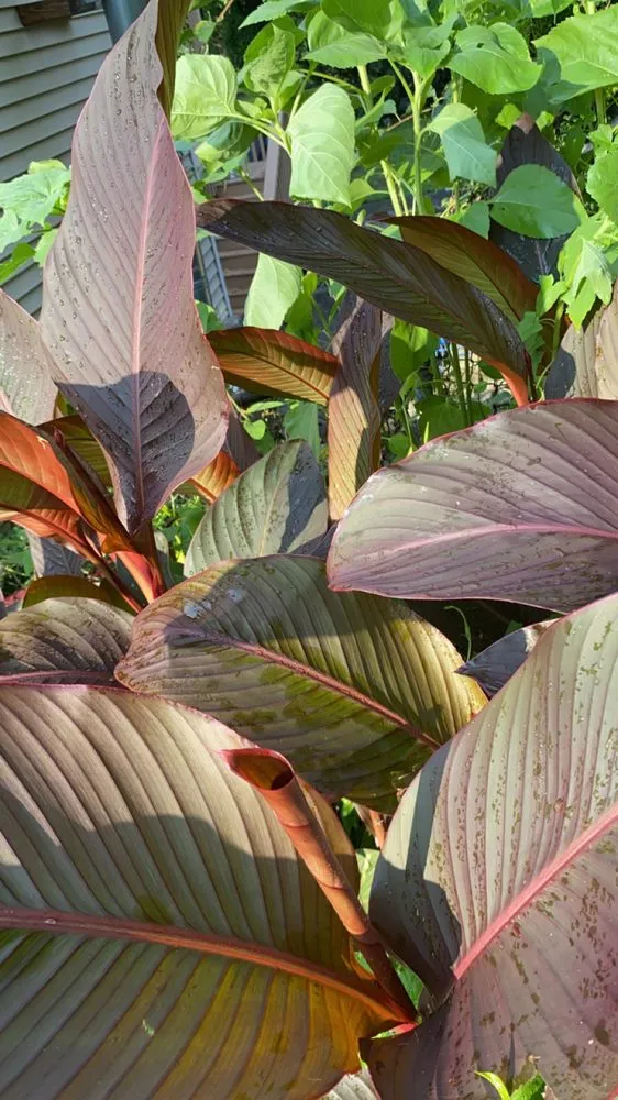 Trusted outdoor landscaping near you across New London, CT - E & R International Design Landscaping