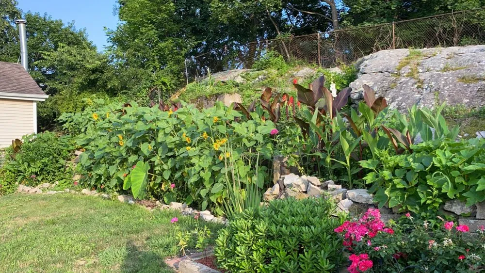 Local lawn care service for homes in New London, CT by E & R International Design Landscaping