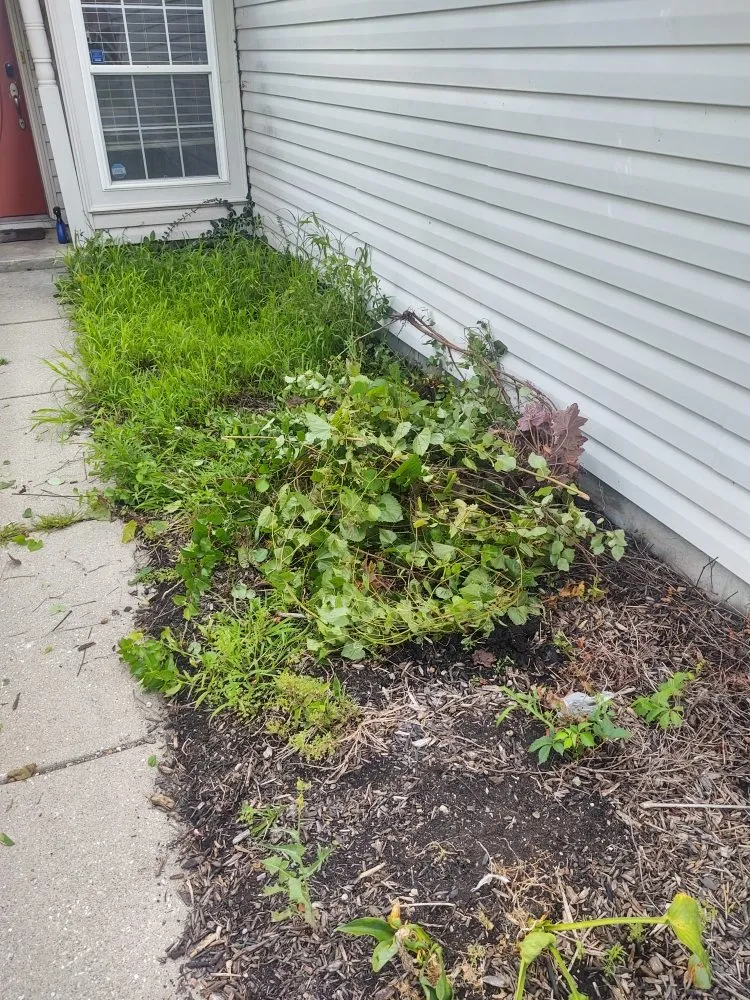 Trusted lawn care service in Indianapolis, IN - E & R Landscaping