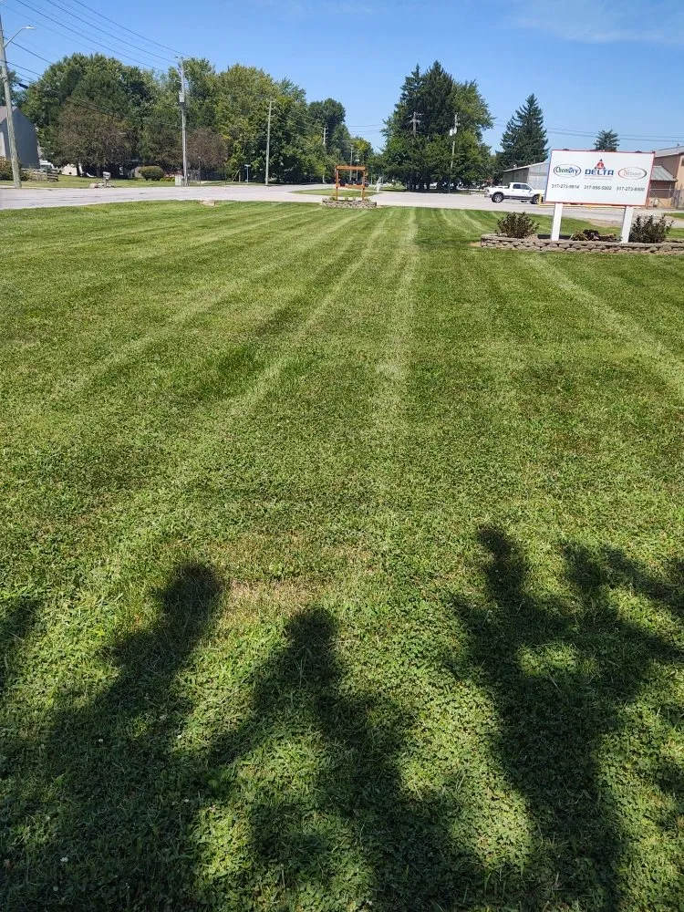 Local yard cleanup service experts serving Indianapolis, IN - E & R Landscaping