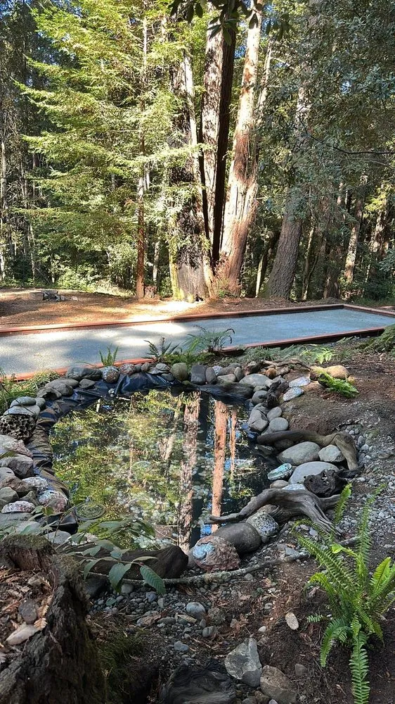 Top-rated yard cleanup service for beautiful yards in Cotati, CA by E & S Landscape Construction