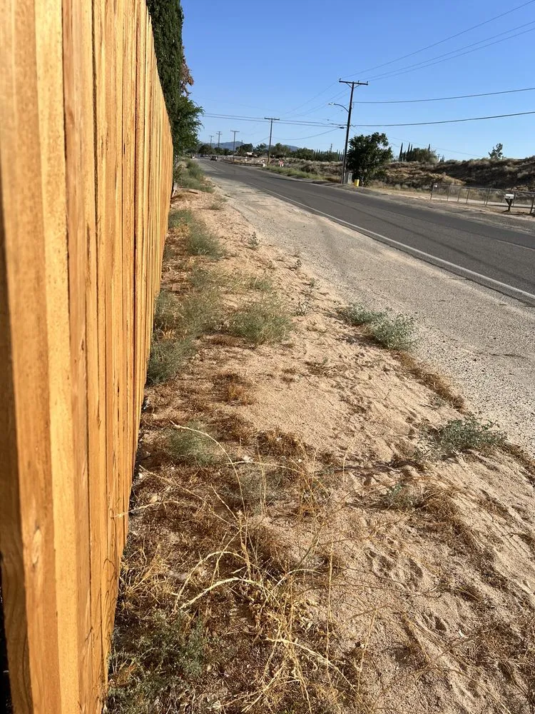 Top-rated landscape design for beautiful yards across Phelan, CA - E & S Landscaping