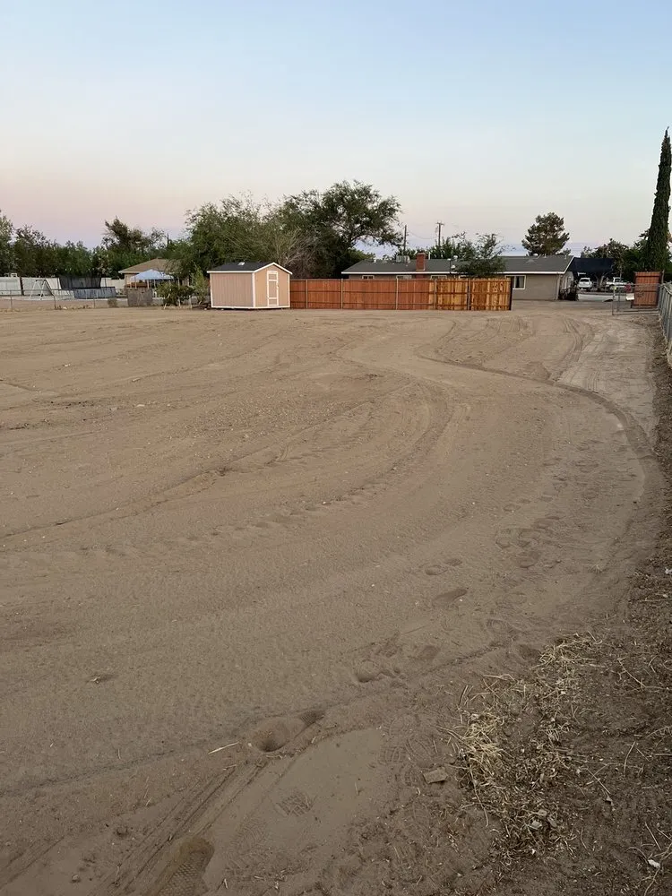 Top-rated yard cleanup service for year-round maintenance across Phelan, CA - E & S Landscaping