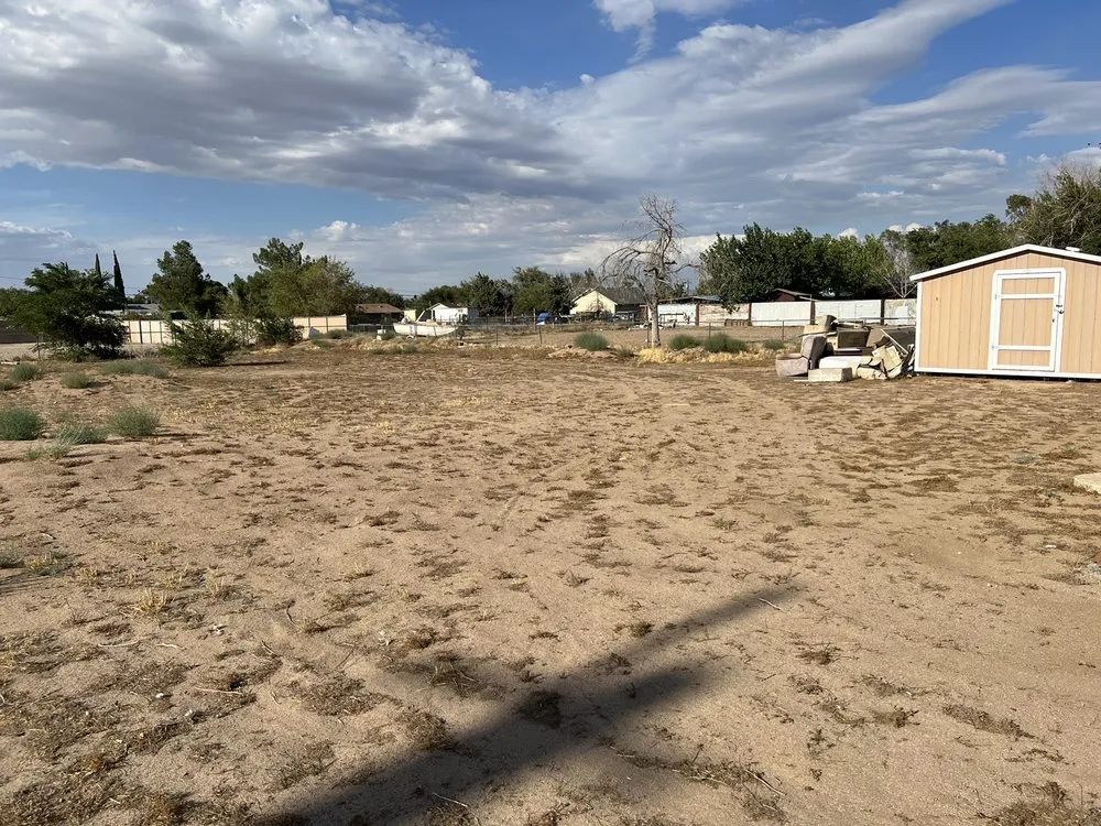 Professional outdoor landscaping experts serving Phelan, CA - E & S Landscaping