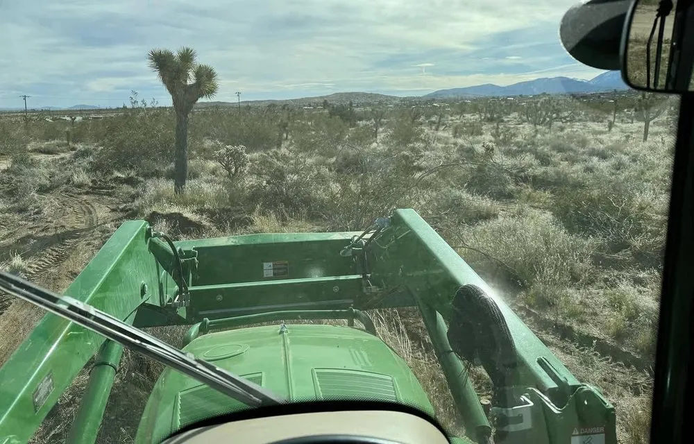 Reliable residential landscaping in Phelan, CA by E & S Landscaping