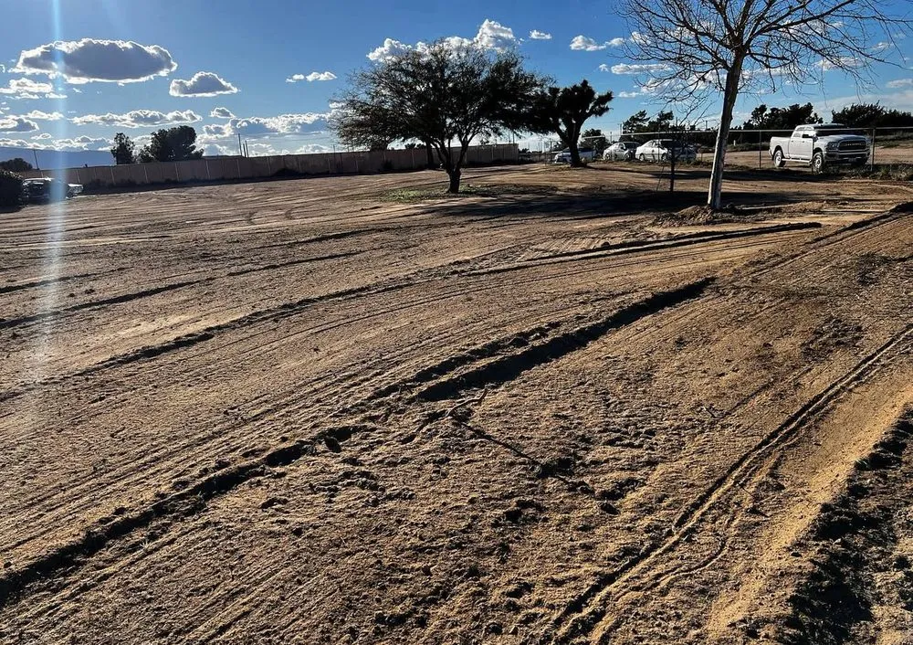 Trusted landscape installation with custom design across Phelan, CA - E & S Landscaping