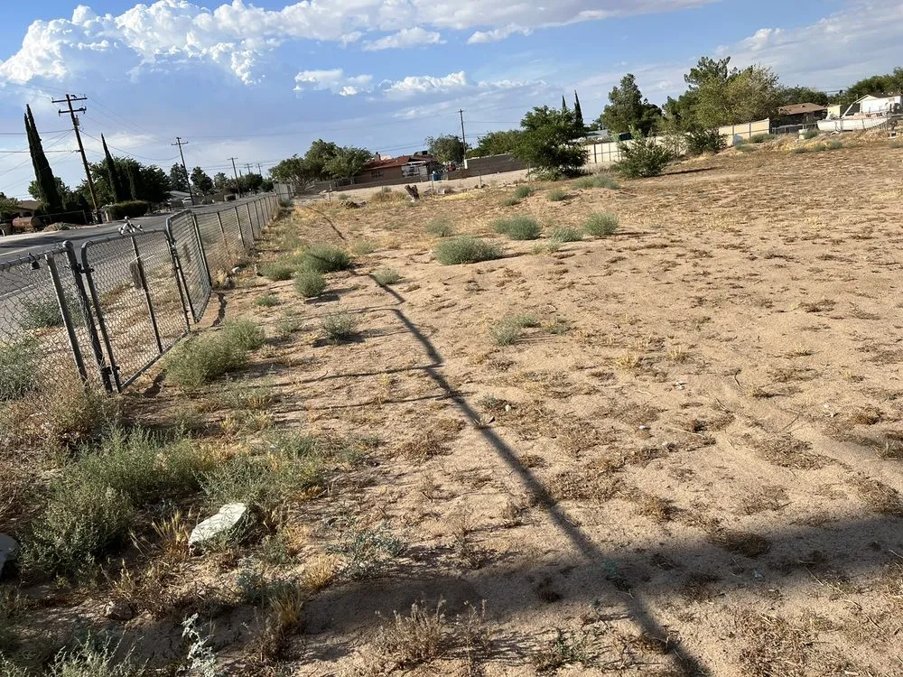 Custom yard maintenance in Phelan, CA by E & S Landscaping