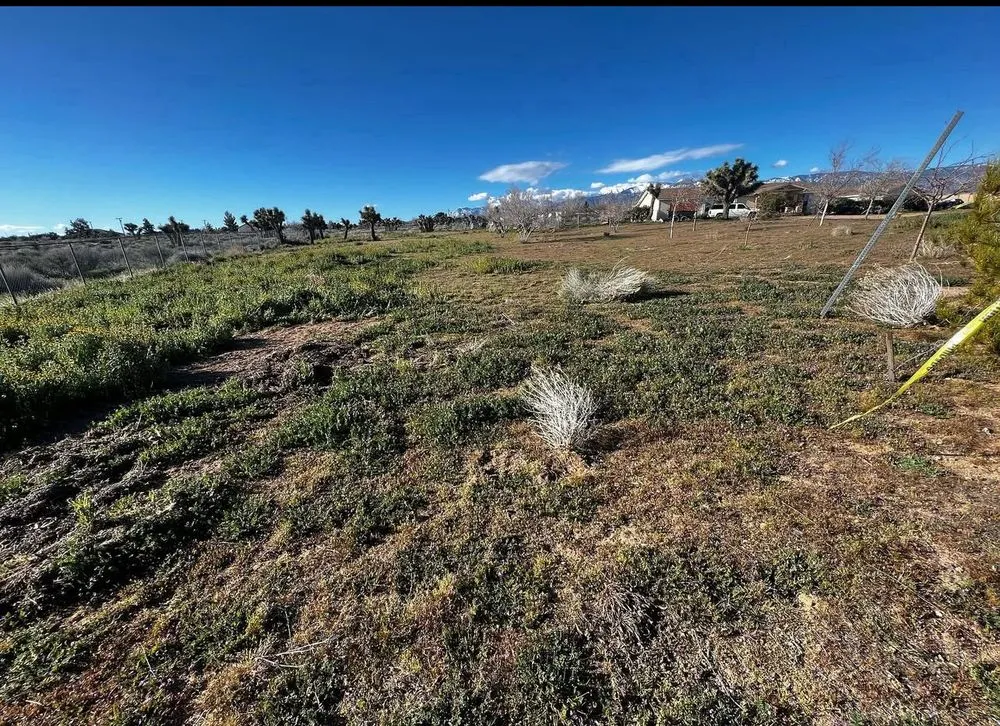 Trusted yard maintenance in Phelan, CA - E & S Landscaping