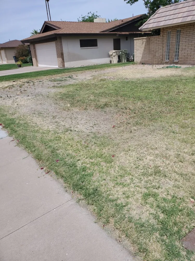 Affordable outdoor landscaping near you across Peoria, AZ - E & S Landscaping Services