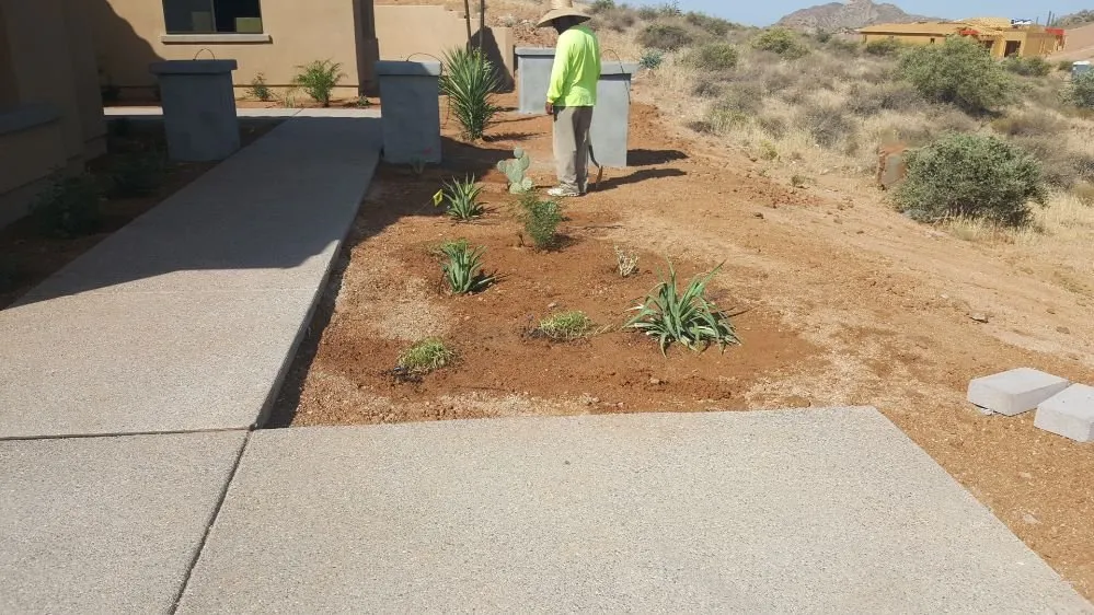 Affordable lawn care service in Peoria, AZ by E & S Landscaping Services