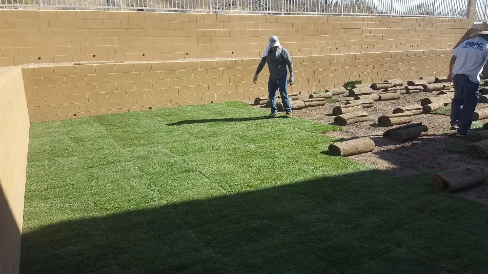 Custom yard cleanup service experts serving Peoria, AZ - E & S Landscaping Services