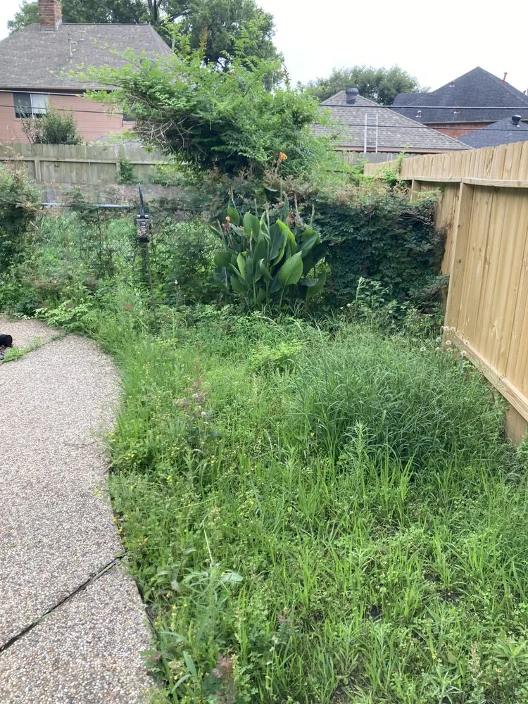 Professional yard maintenance experts serving Humble, TX - E & T landscaping