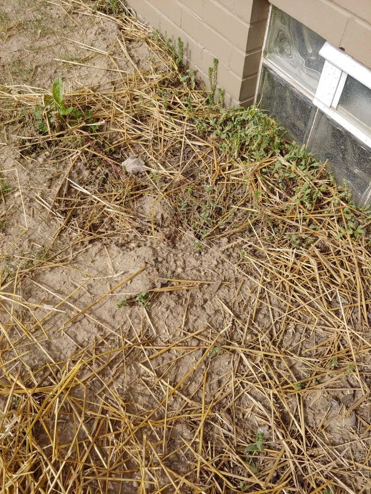 Top-rated yard cleanup service experts serving Uniontown, OH - E & T Lawn & Landscape