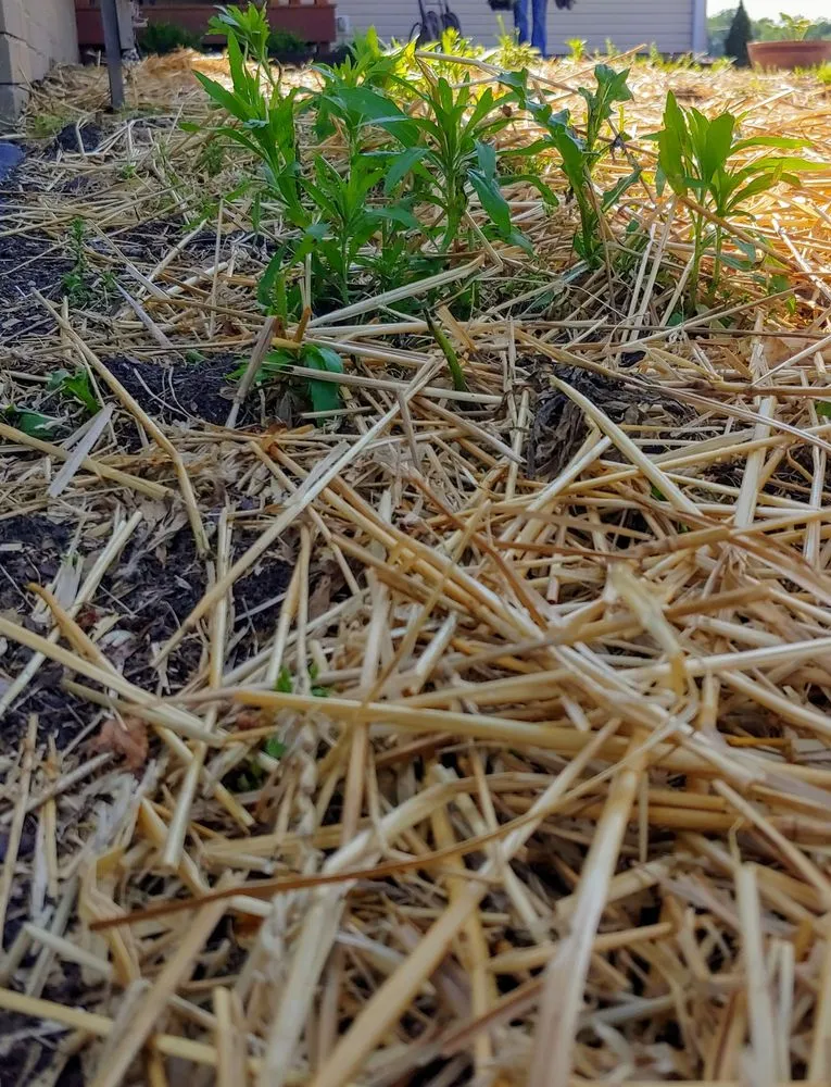 Top-rated residential landscaping with custom design in Uniontown, OH by E & T Lawn & Landscape