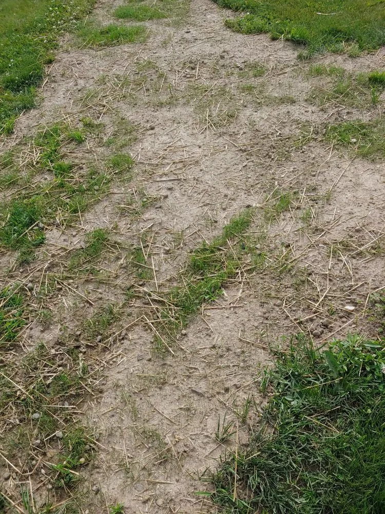 Professional lawn care service in Uniontown, OH - E & T Lawn & Landscape