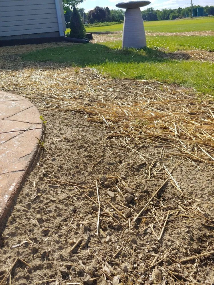 Local lawn mowing service experts serving Uniontown, OH - E & T Lawn & Landscape