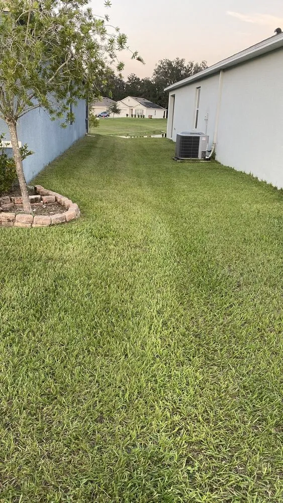 Professional lawn care service in Davenport, FL by E & W Landscape And More