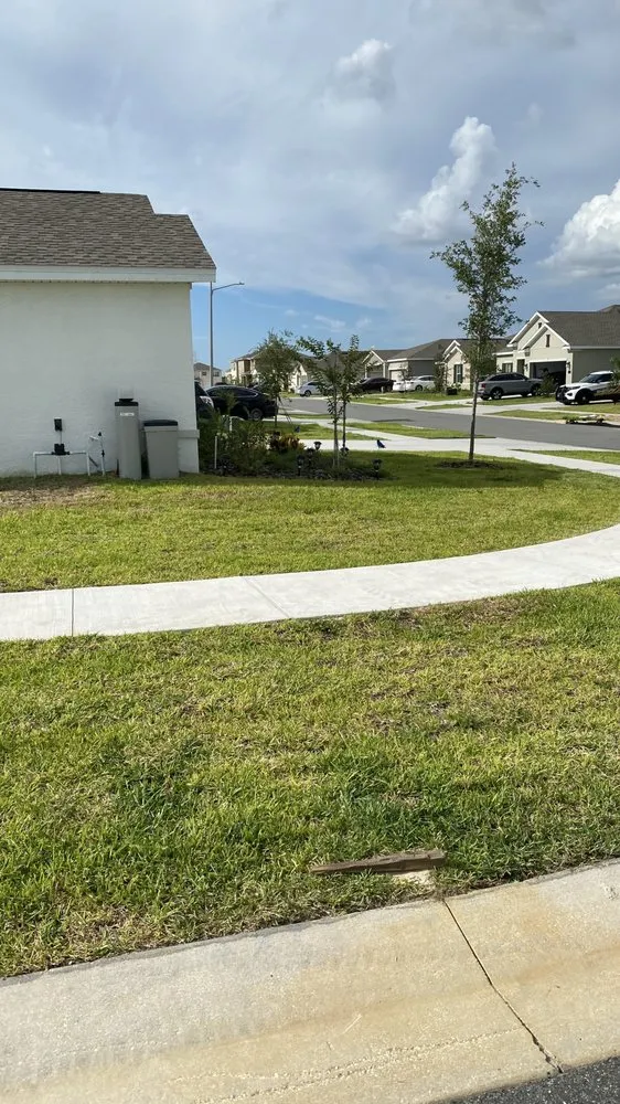 Expert yard cleanup service in Davenport, FL - E & W Landscape And More