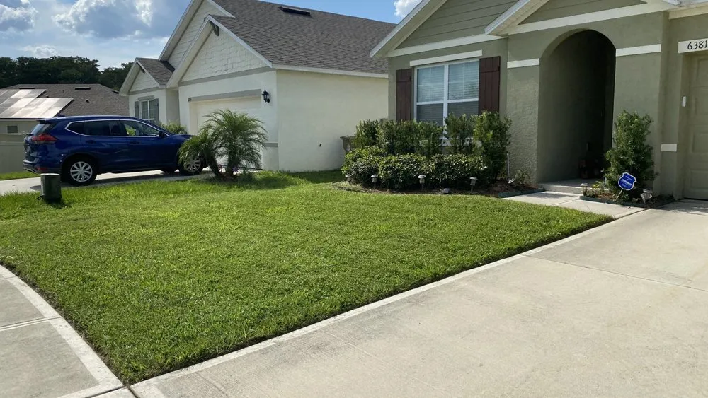 Custom yard cleanup service in Davenport, FL by E & W Landscape And More