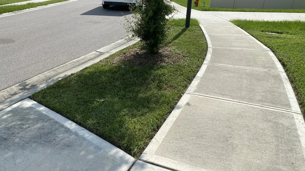 Custom yard cleanup service for homes in Davenport, FL by E & W Landscape And More