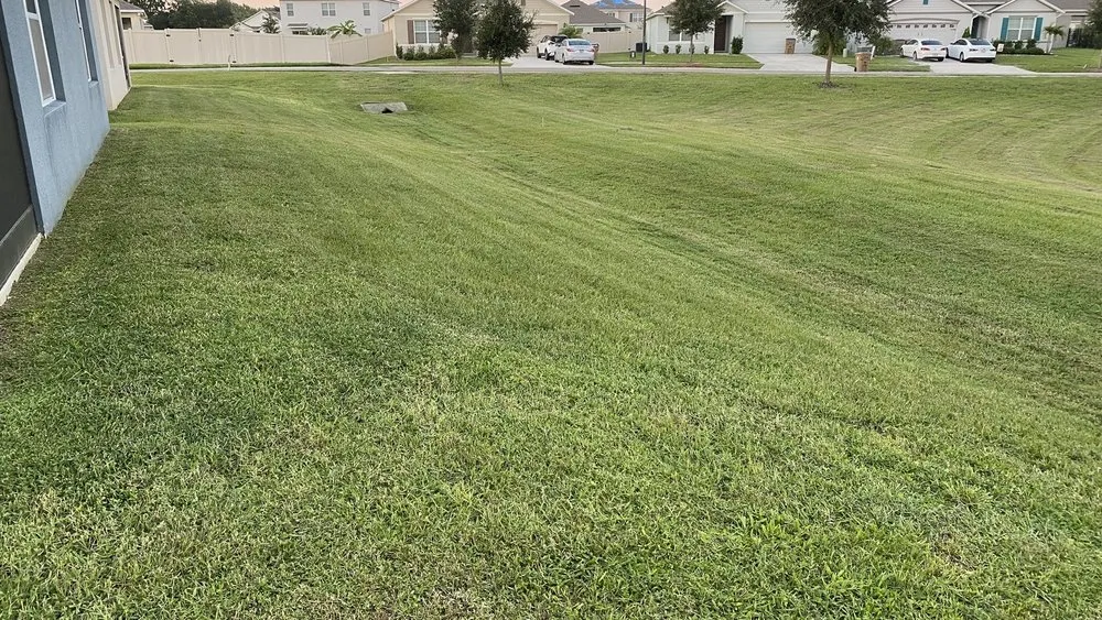 Expert yard maintenance in Davenport, FL - E & W Landscape And More