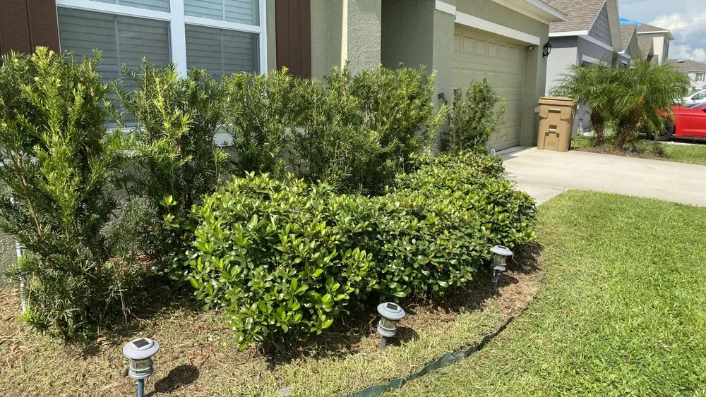 Reliable landscape installation in Davenport, FL by E & W Landscape And More
