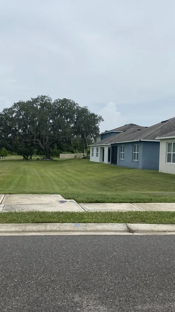 Trusted yard cleanup service near you across Davenport, FL - E & W Landscape And More