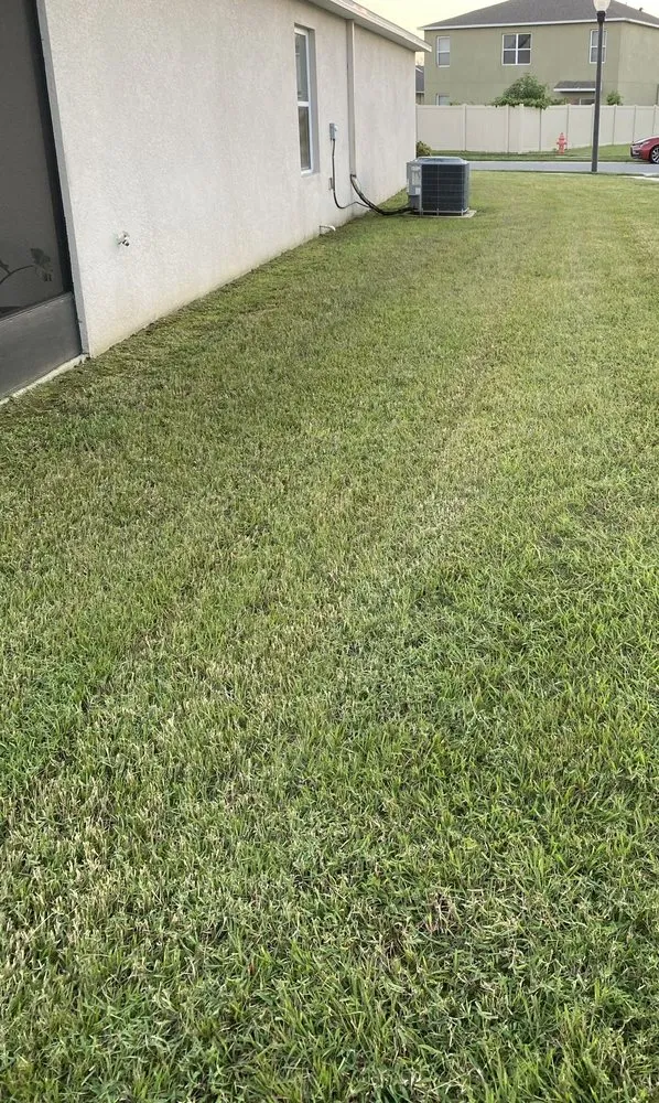 Custom outdoor landscaping for beautiful yards across Davenport, FL - E & W Landscape And More