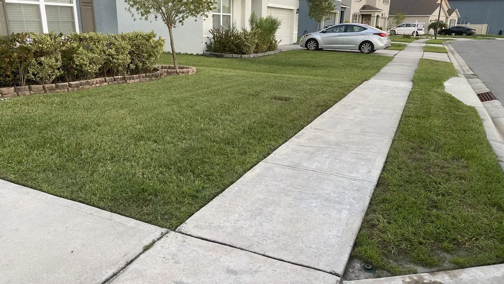 Reliable landscaping services in Davenport, FL by E & W Landscape And More