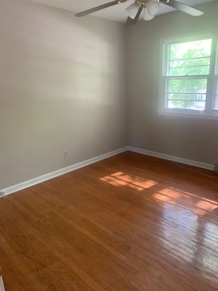 Top-rated yard cleanup service experts serving Danville, VA - E & W Maintenance