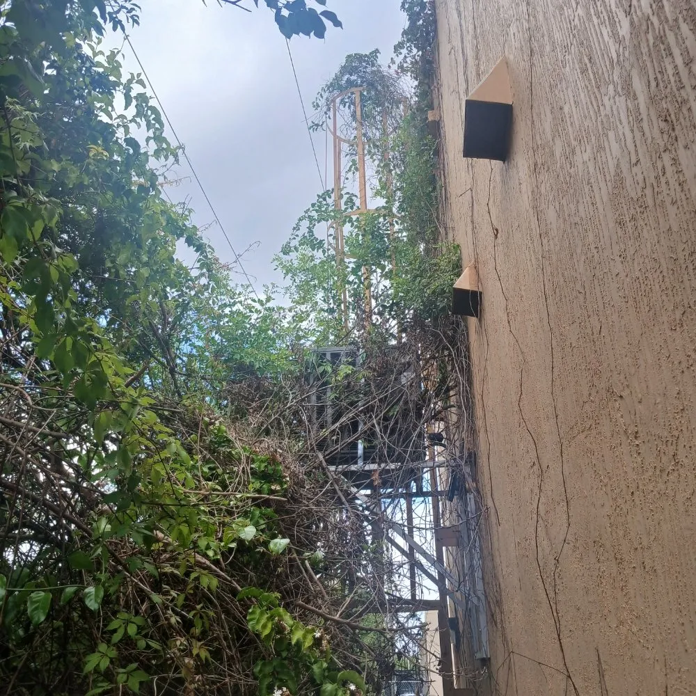 Custom garden landscaping for beautiful yards in Cutler Bay, FL by E A Services