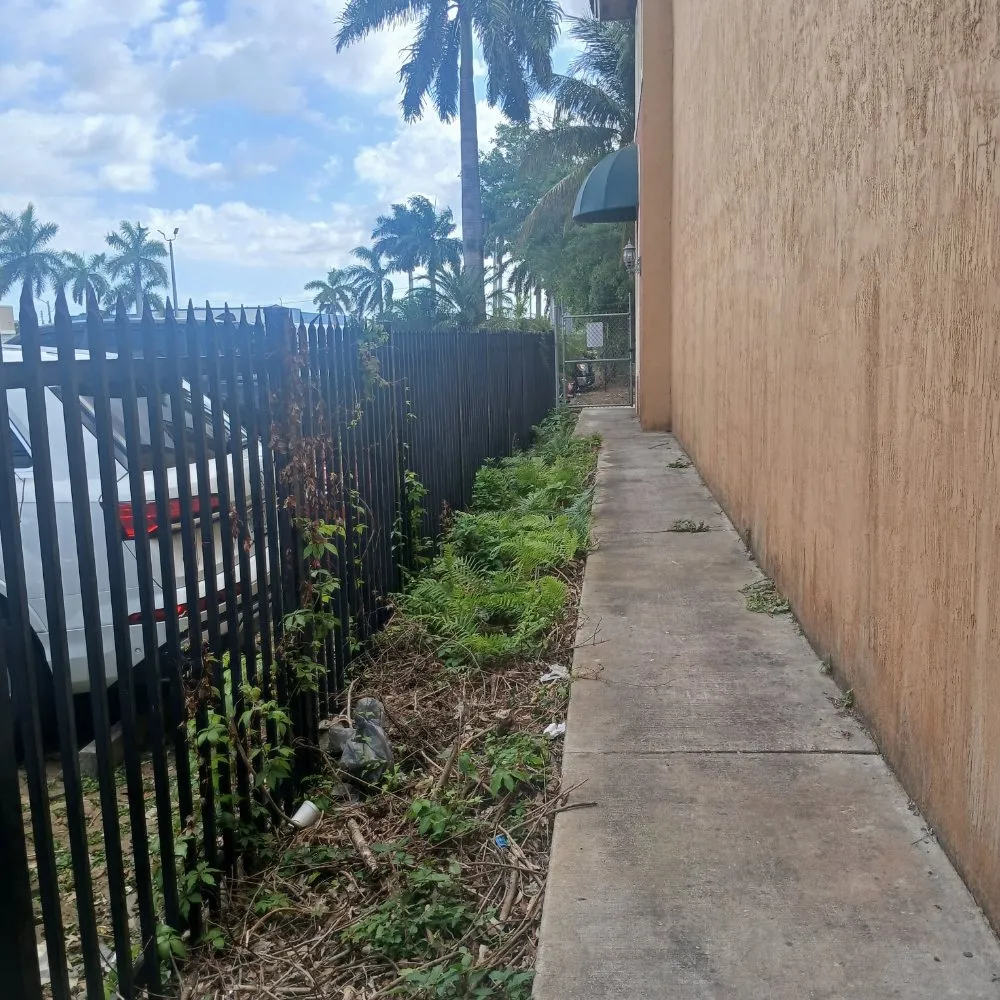 Professional outdoor landscaping with custom design across Cutler Bay, FL - E A Services