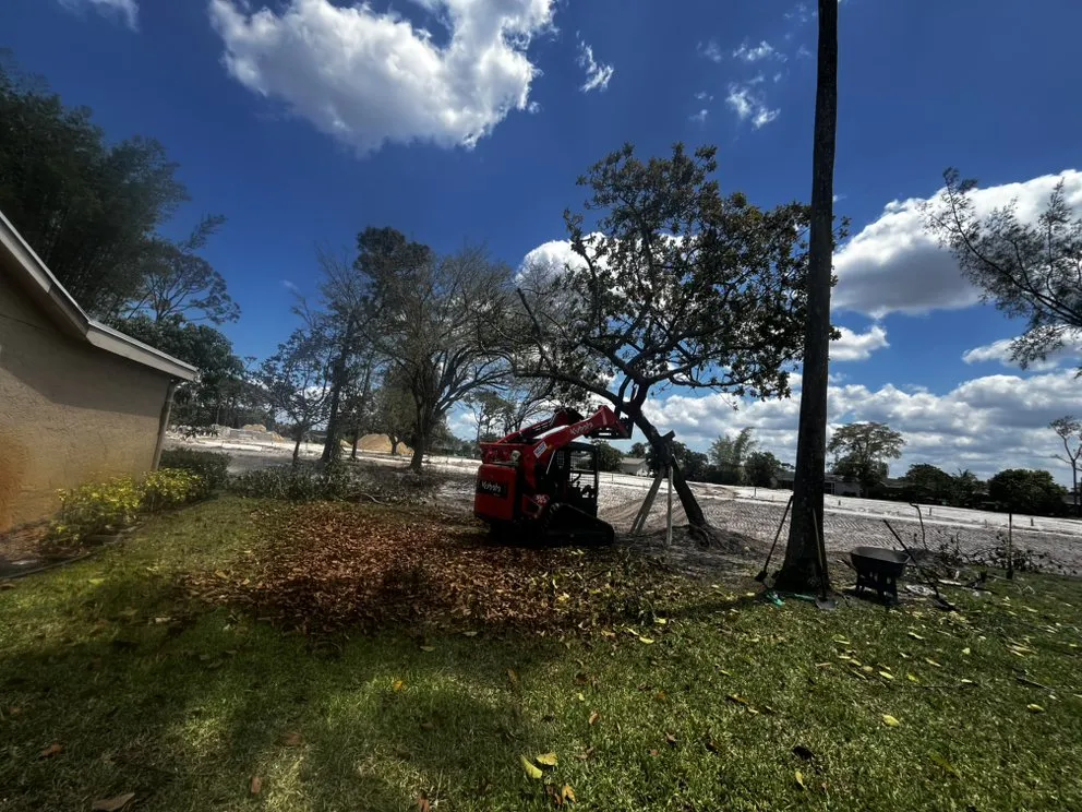 Custom landscape installation for year-round maintenance in West Palm Beach, FL by E Aguilar Landscaping