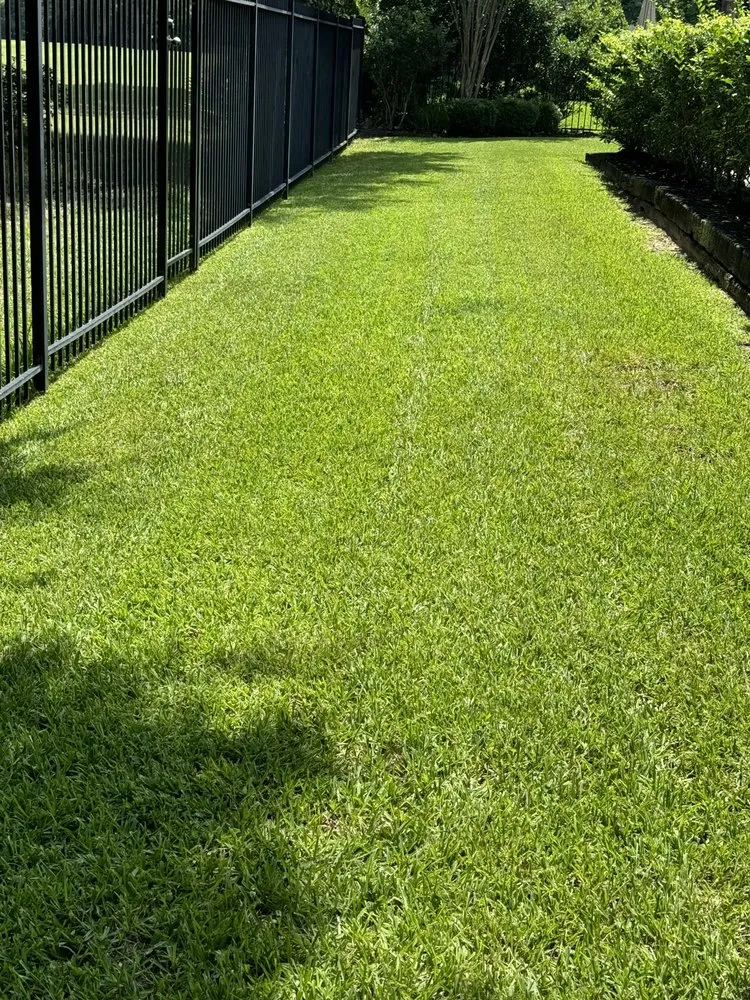 Affordable lawn care service for beautiful yards in Conroe, TX by E And A Lawn Service
