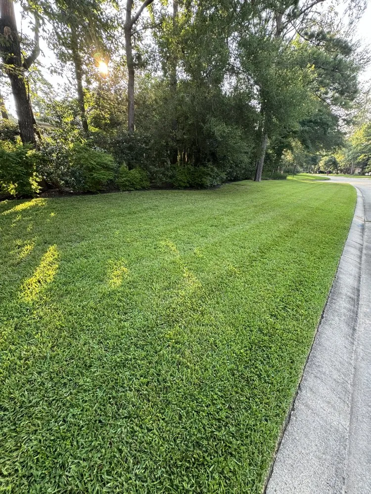 Top-rated landscape installation in Conroe, TX - E And A Lawn Service