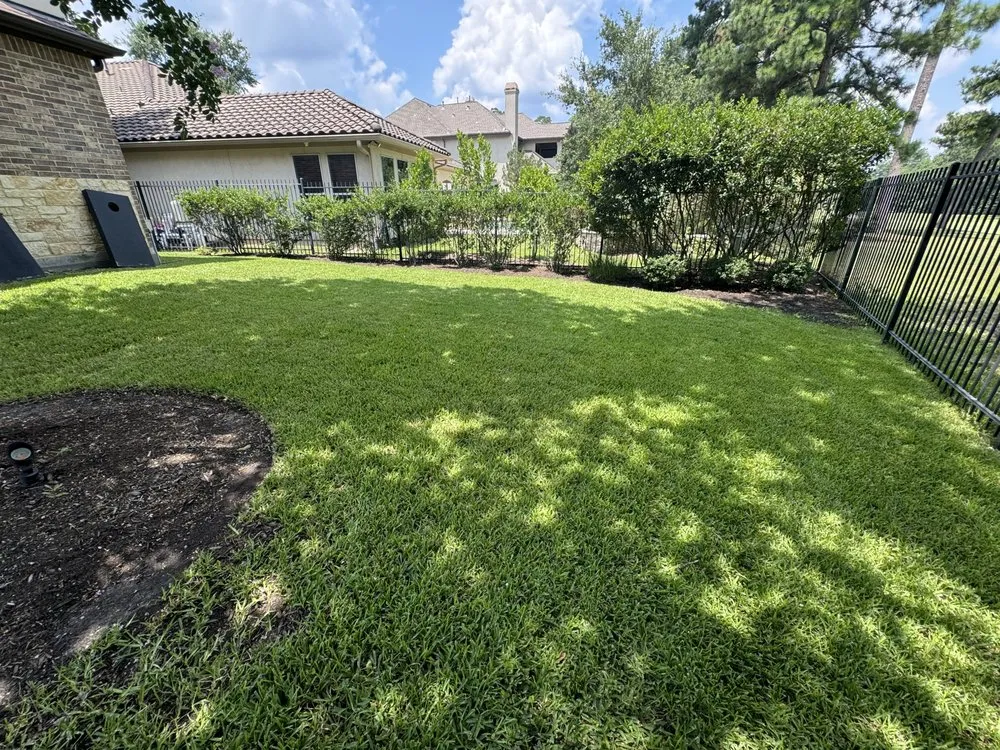 Local yard cleanup service experts serving Conroe, TX - E And A Lawn Service