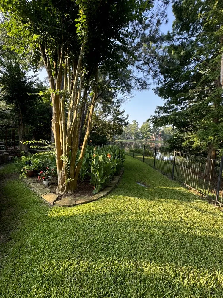 Professional yard cleanup service for beautiful yards in Conroe, TX by E And A Lawn Service