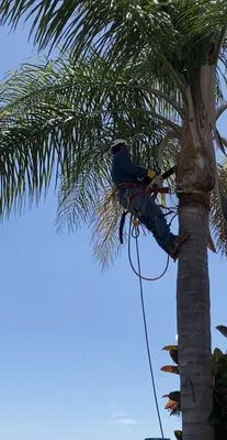 E and C Landscaping Maintenance Logo