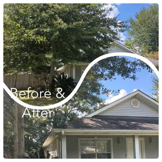 Trusted landscape installation in Vancleave, MS by E And D Services