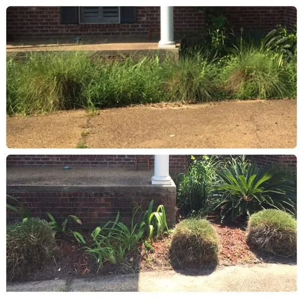 Top-rated landscape design in Vancleave, MS by E And D Services