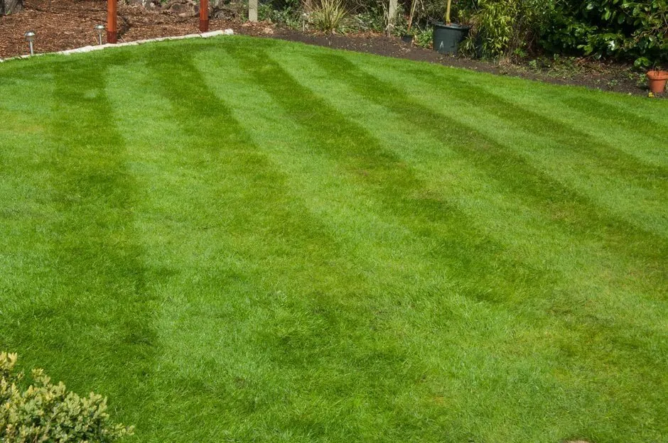 Trusted outdoor landscaping in Quitman, MS - E and L Landscaping Service