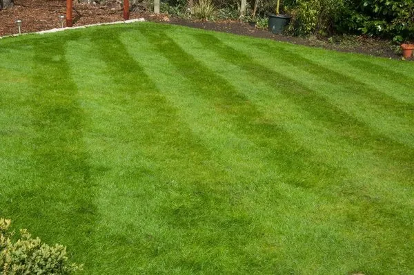 E and L Landscaping Service