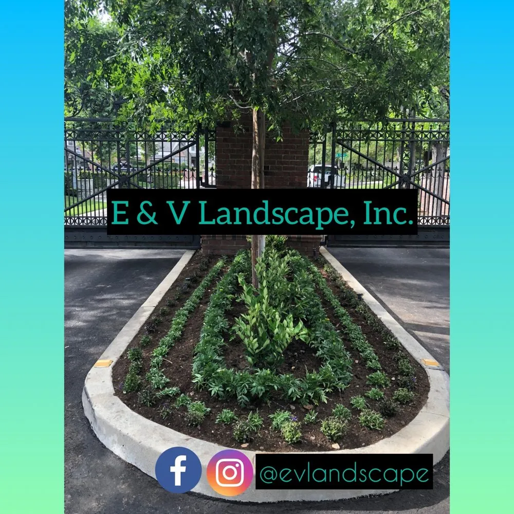 Local outdoor landscaping experts serving Garden Grove, CA - E and V Landscape