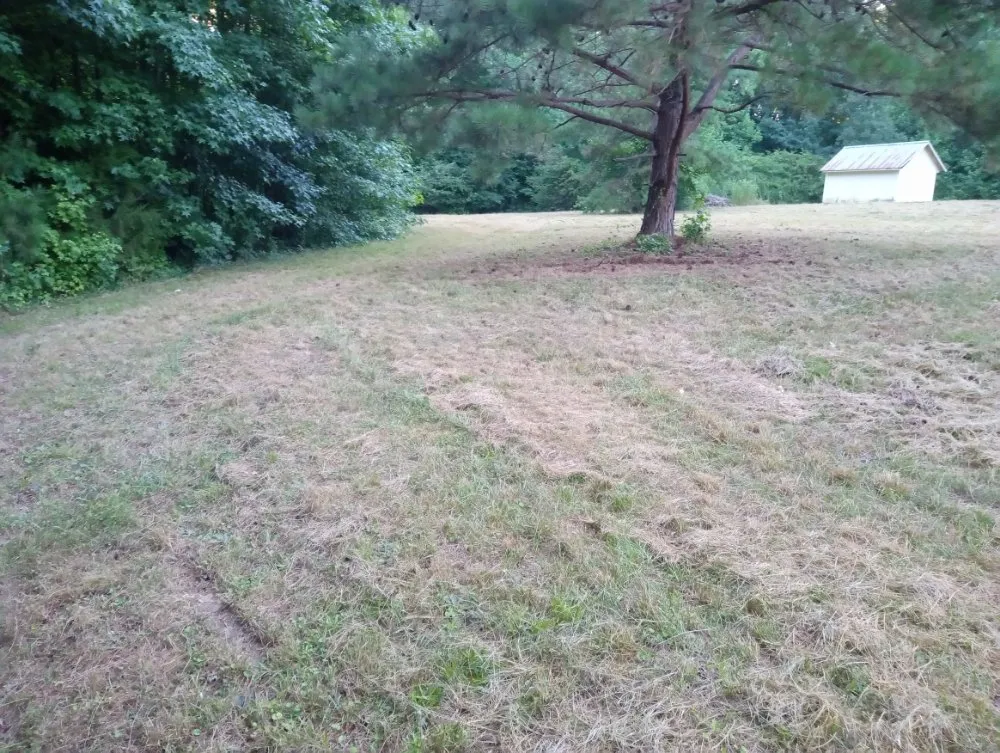 Affordable landscape installation in Asheboro, NC by E B Landscaping