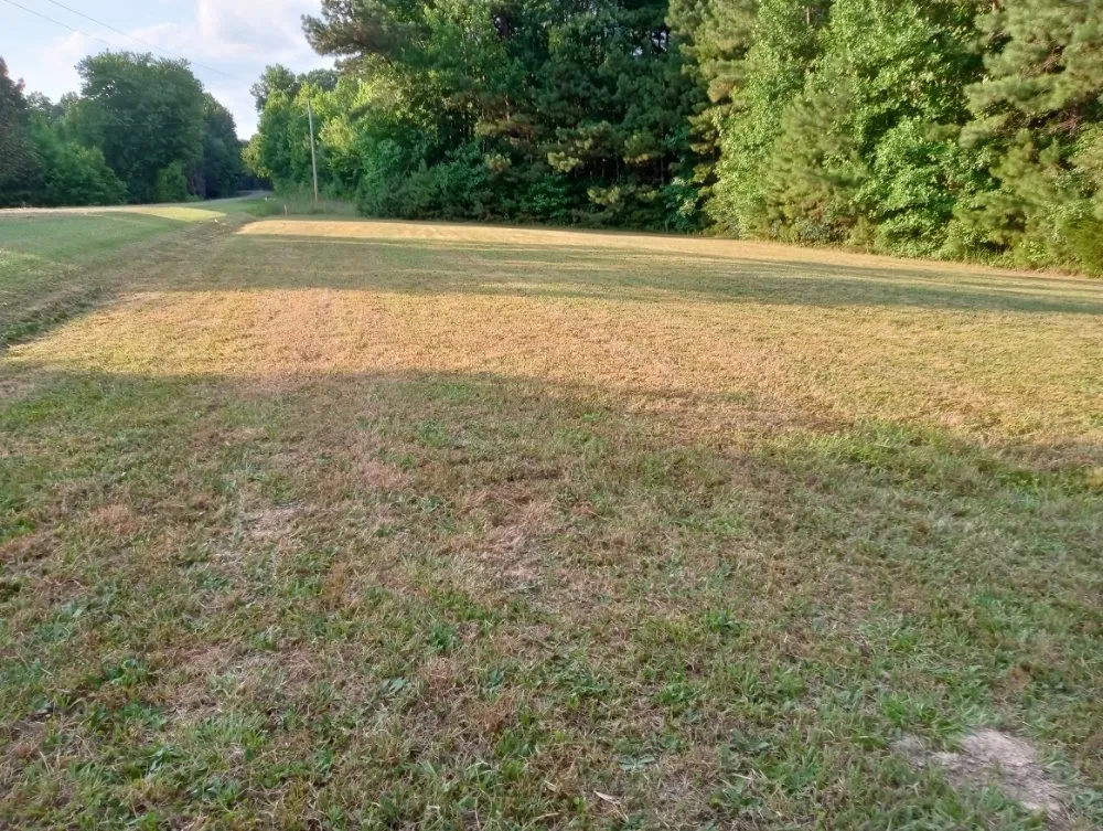 Reliable lawn mowing service for year-round maintenance across Asheboro, NC - E B Landscaping