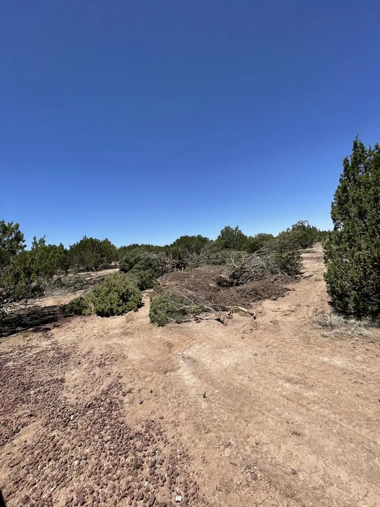 Local landscape installation experts serving Pinetop-Lakeside, AZ - E C Landscape & Excavation