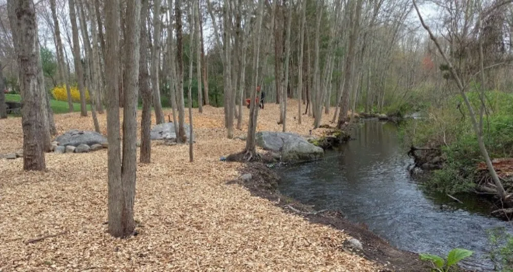 Top-rated yard cleanup service near you in Danbury, CT by E C Landscaping