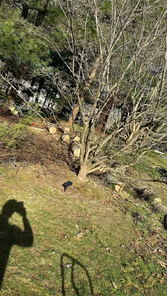 Reliable lawn care service for year-round maintenance in Danbury, CT by E C Landscaping