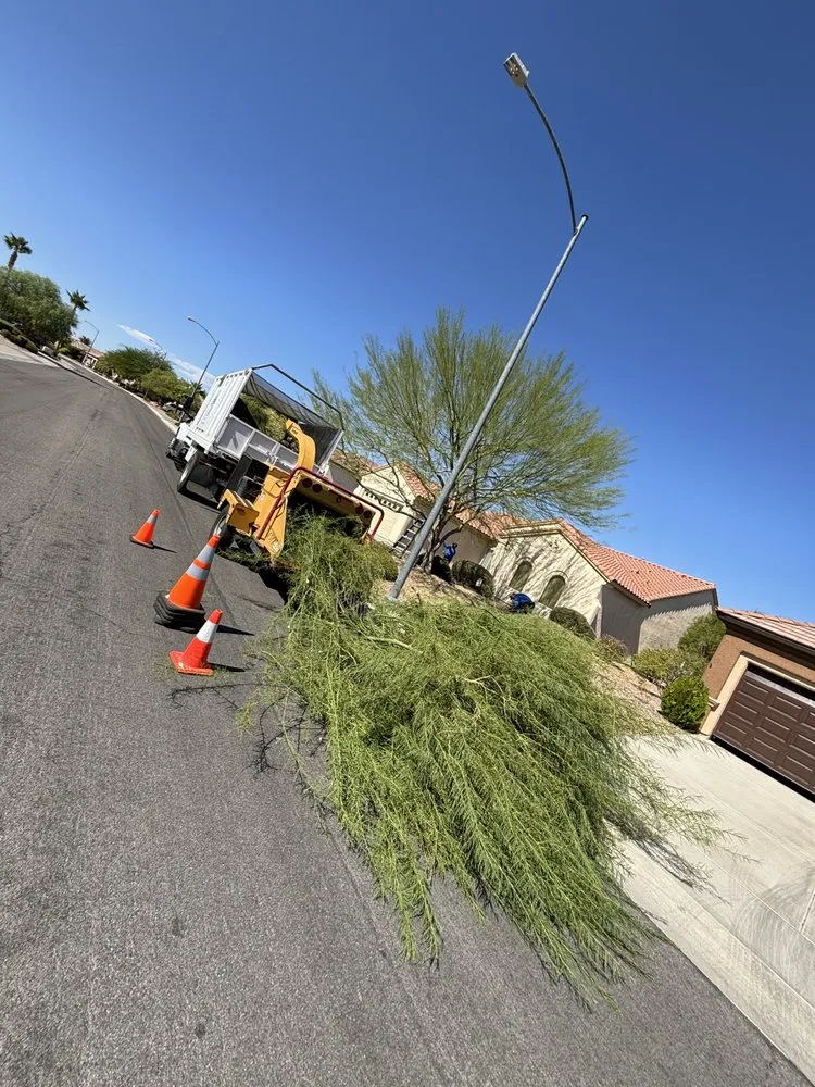 Local outdoor landscaping in Enterprise, NV - E &C Outdoor Concepts