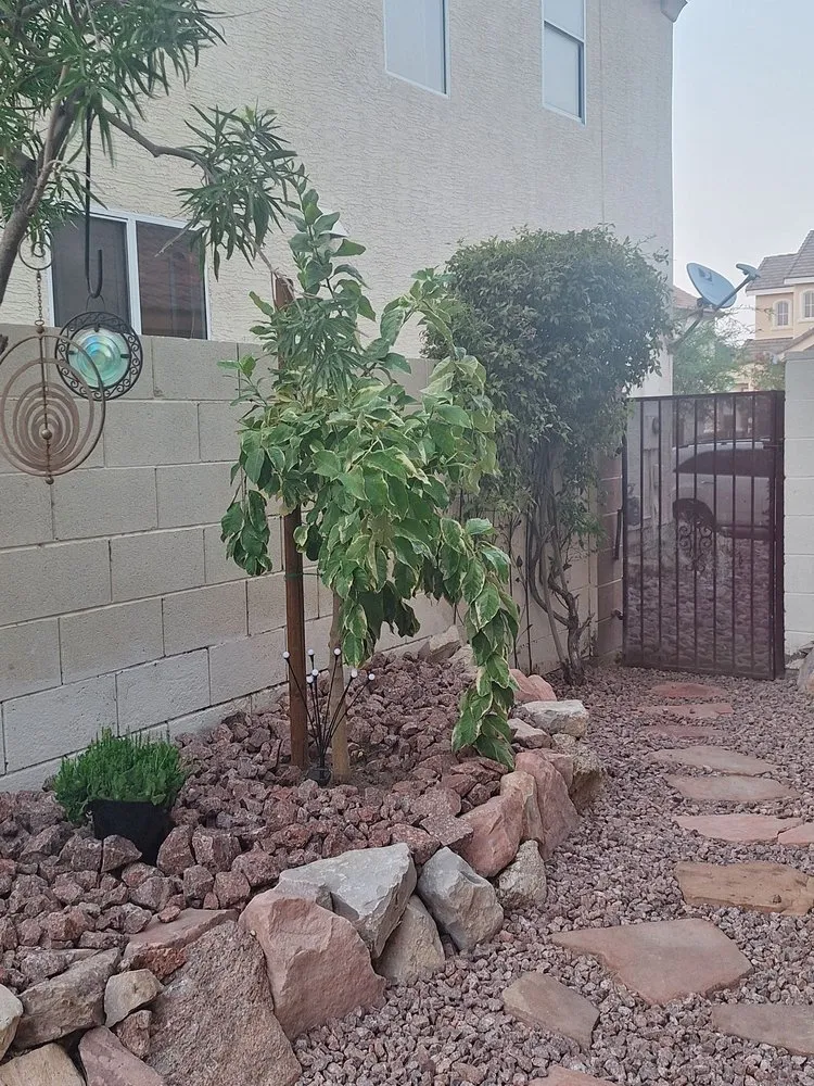 Custom yard maintenance experts serving Enterprise, NV - E &C Outdoor Concepts